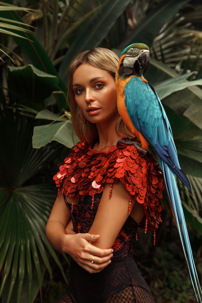 Birds of Paradise